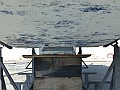 Boreal 50 - 59